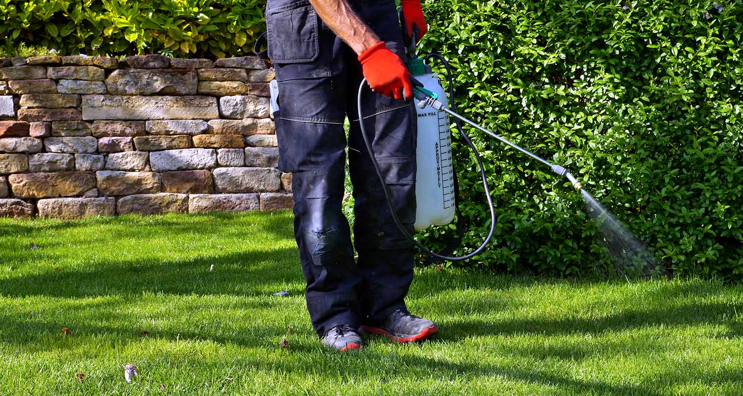 man spraying yard with pesticides.